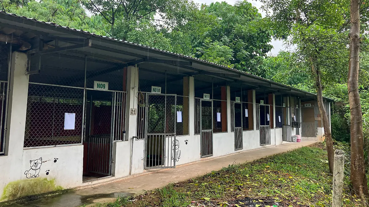Hundefleischhandel in Vietnam