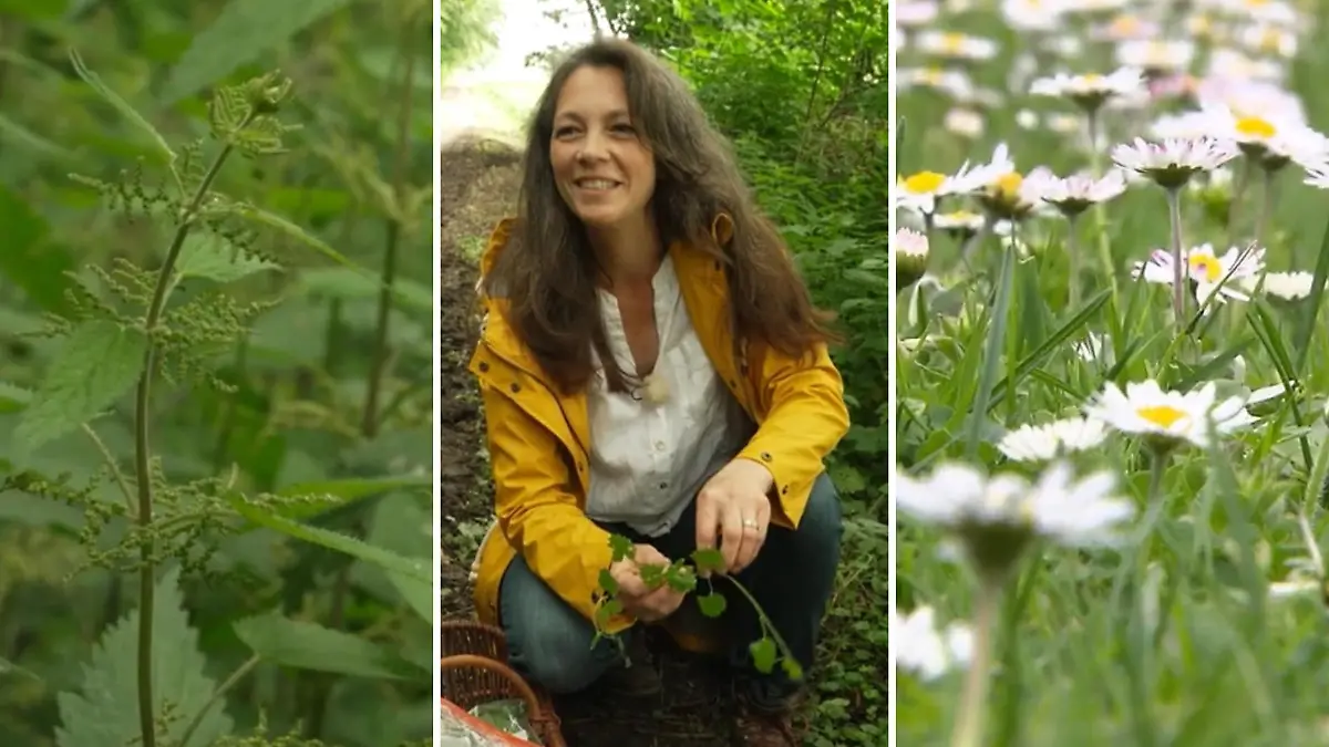 Nerviges Grünzeug? Viele Unkräuter sind reinstes Superfood! Gesundes und kostenloses Superfood aus der Natur