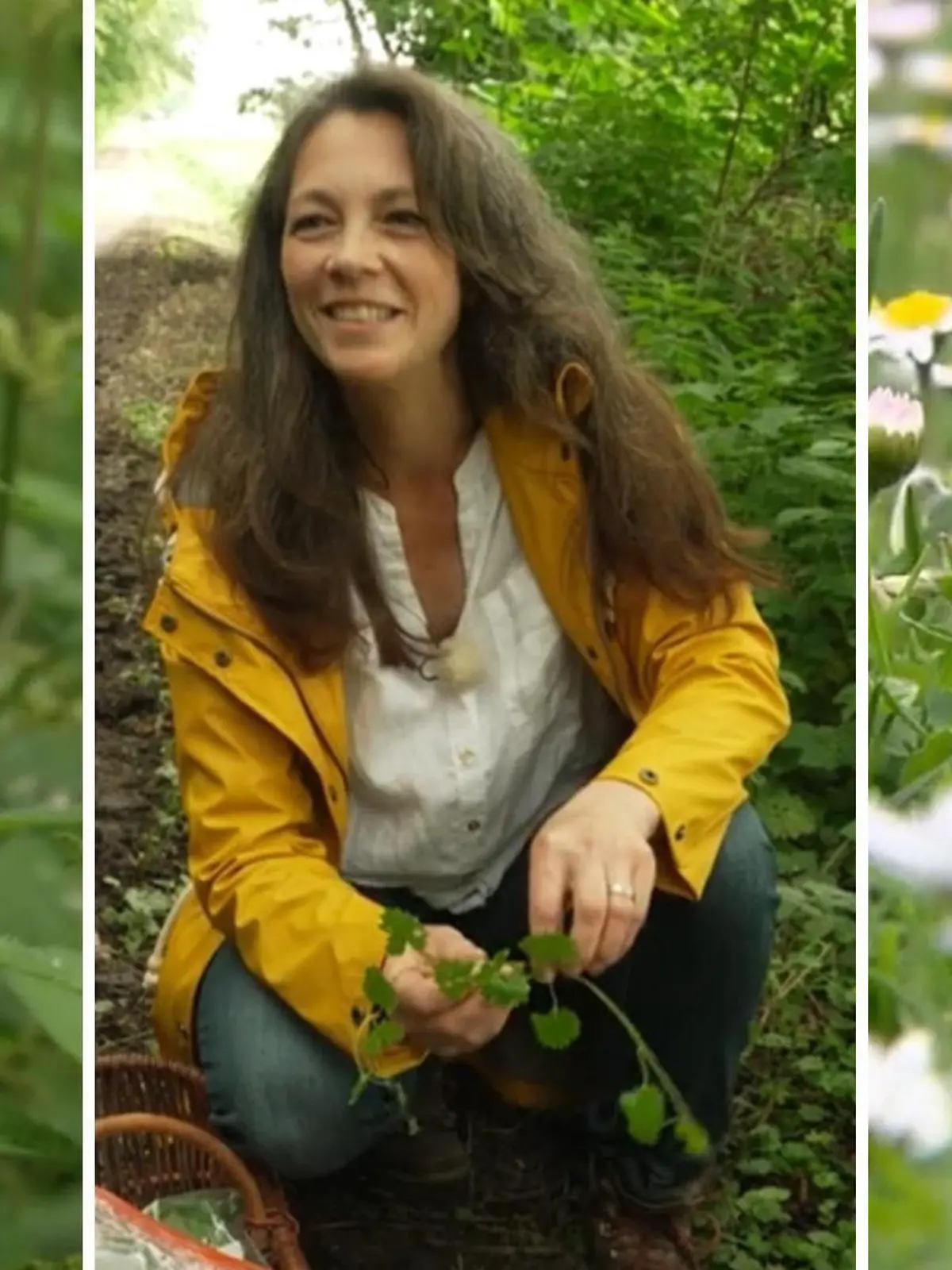 Bild zu: "Nerviges Grünzeug? Viele Unkräuter sind reinstes Superfood!"