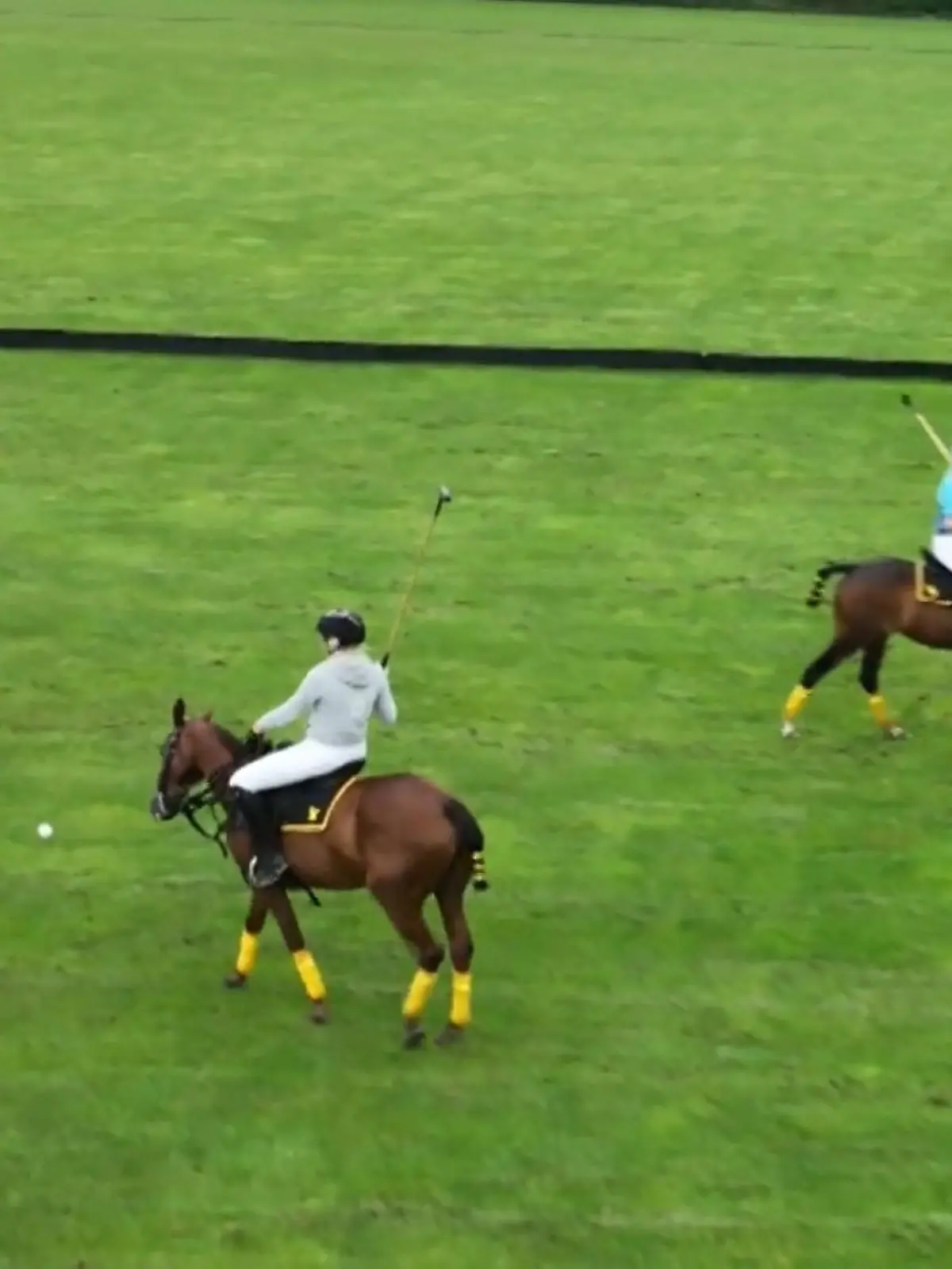 Bild zu: "Polo-Training mit Reality-Star"