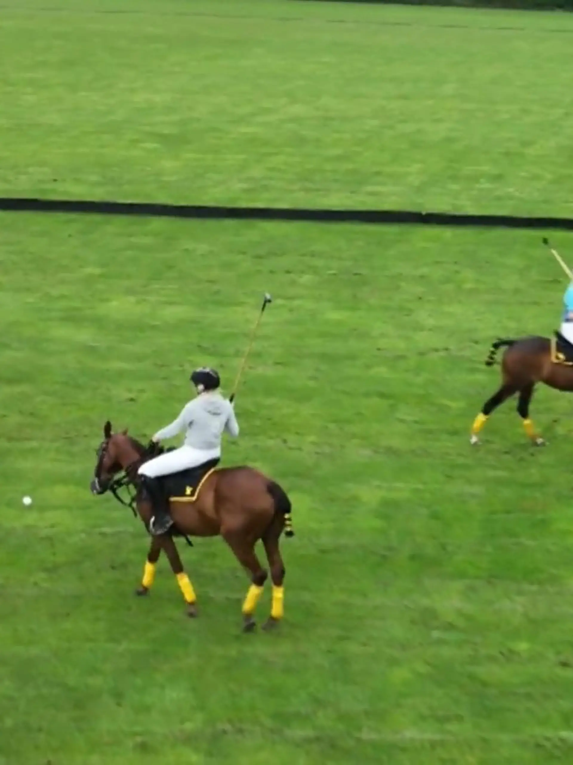 Bild zu: "Polo-Training mit Reality-Star"