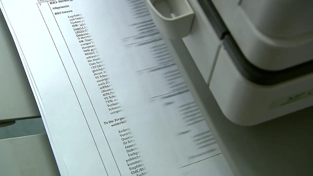 Journalisten veröffentlichen Papiere