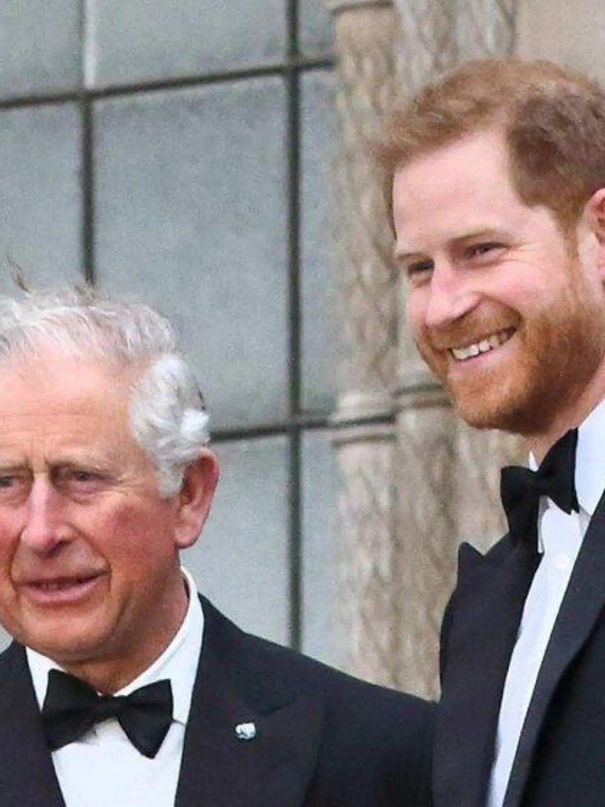 König Charles und Prinz Harry