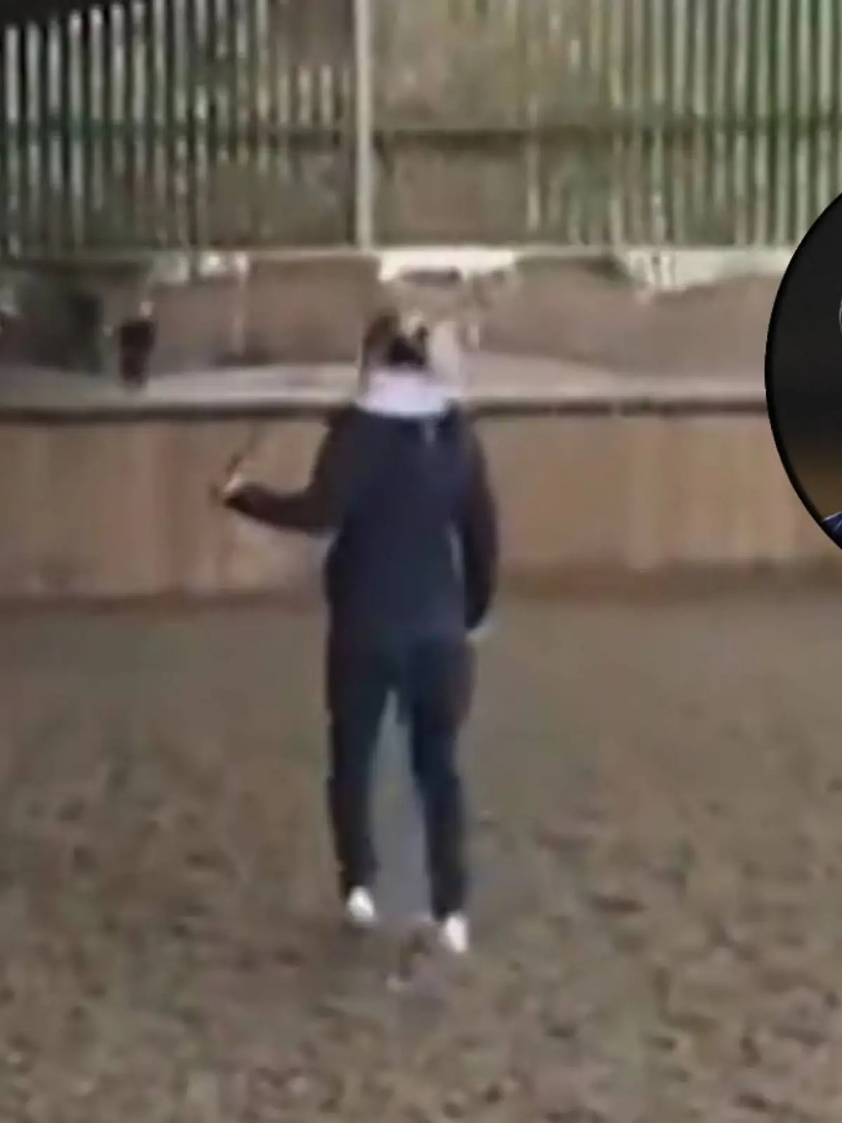 Bild zu: "HIER seht ihr den Prügel-Skandal im Video!"