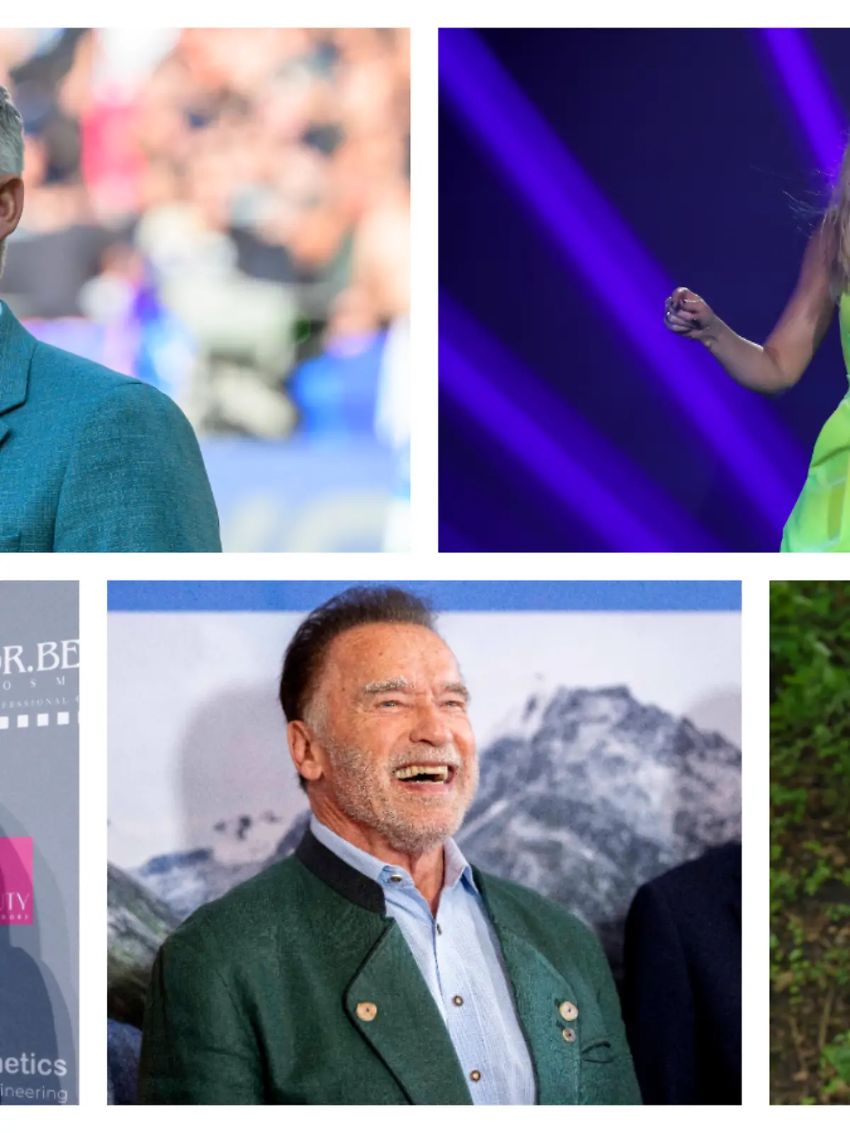 Bild zu: "Helene, Bastian, Katja und Co. brüllen wie ein Löwe"