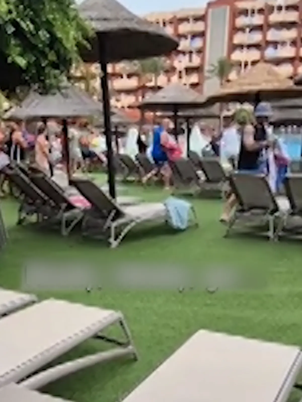 Bild zu: "Handtuch-Eskalation am Pool! Touri beansprucht zwei Reihen für sich"