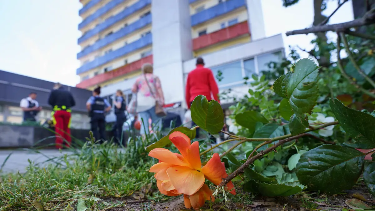11.05.2022, Hessen, Hanau: Eine abgeschnittene Rose liegt an einem Hochhaus, nachdem die Spurensicherung der Polizei zum Zweck der besseren Suche die Blumen und Sträucher davor abgeschnitten hatte. In dem Gebäude war am Morgen ein totes Mädchen gefunden worden. Vor dem Haus lag auf der Straße ein schwer verletzter Junge, der später verstarb. Foto: Frank Rumpenhorst/dpa +++ dpa-Bildfunk +++