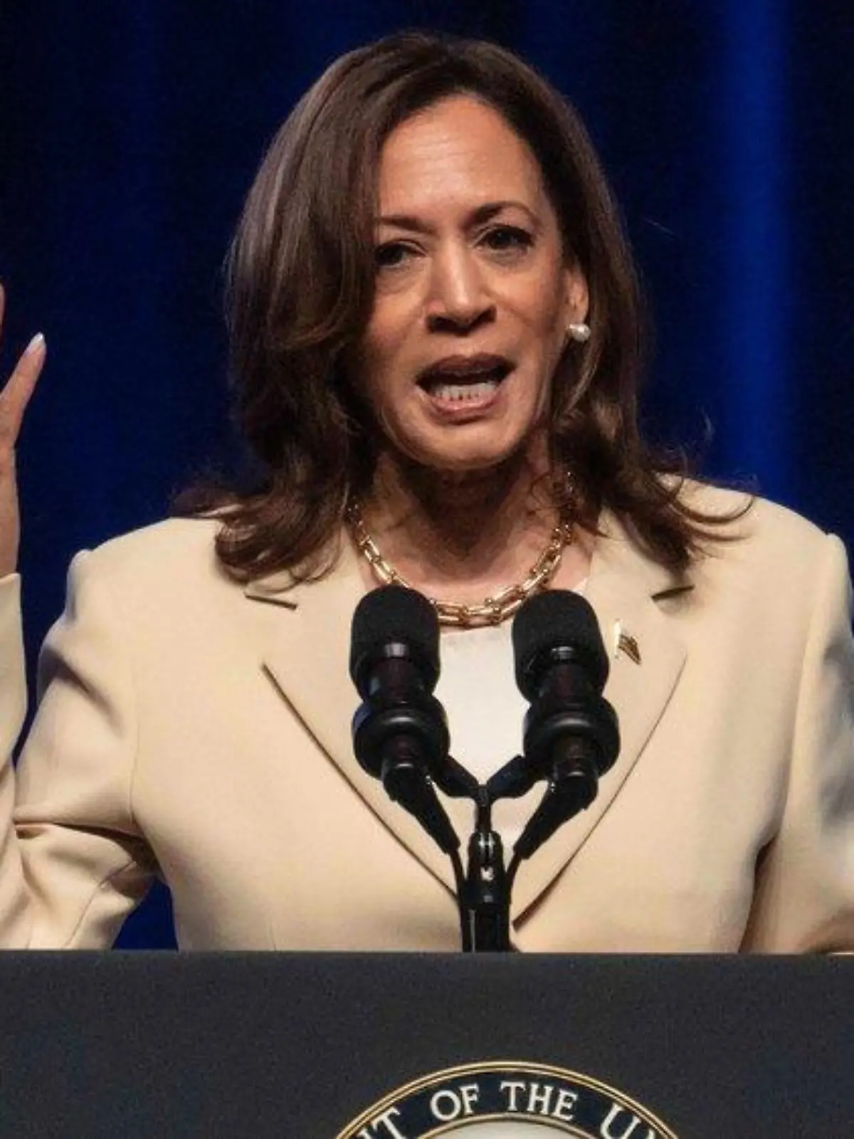 Hype um Kamala Harris: Ihre Autobiografie wird zum Beststeller