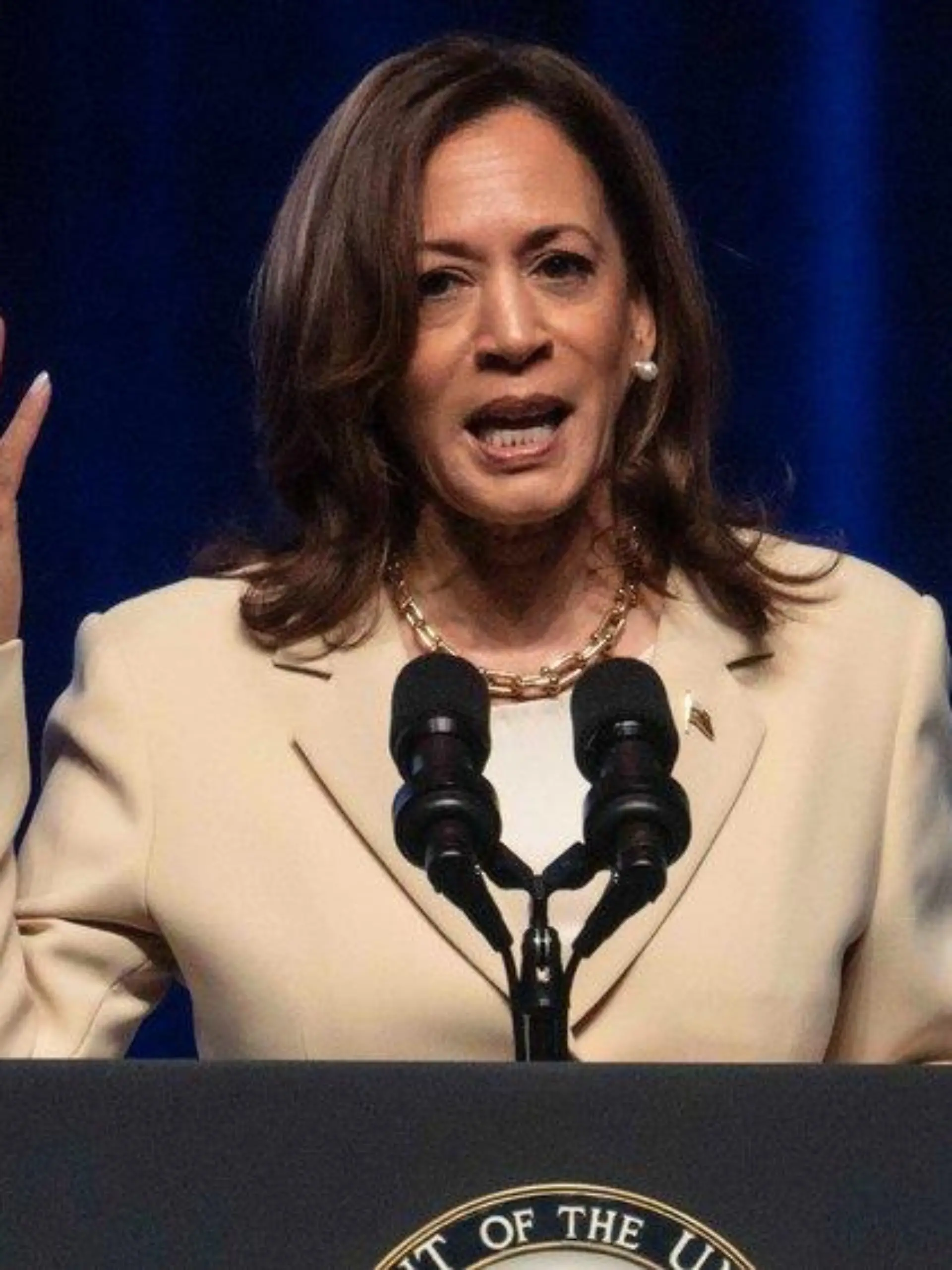 Hype um Kamala Harris: Ihre Autobiografie wird zum Beststeller