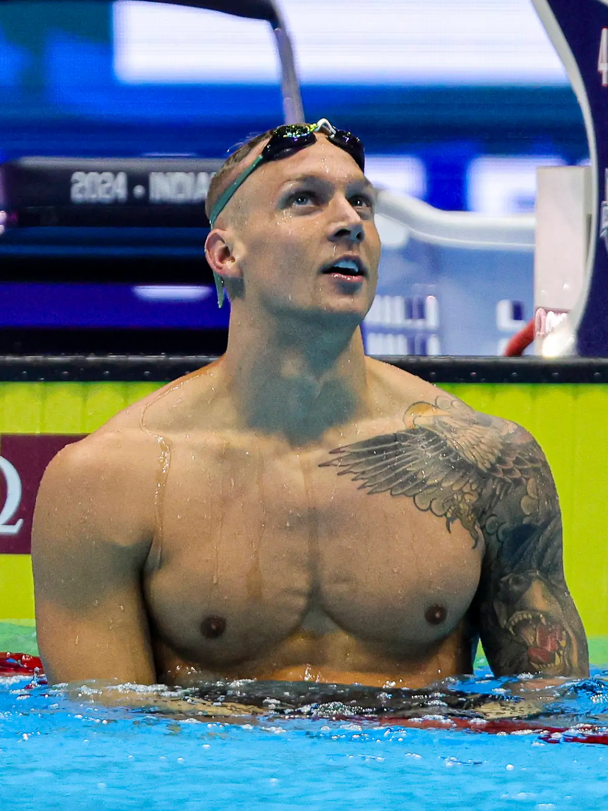 Caeleb Dressel ist im Februar 2024 erstmals Papa geworden.