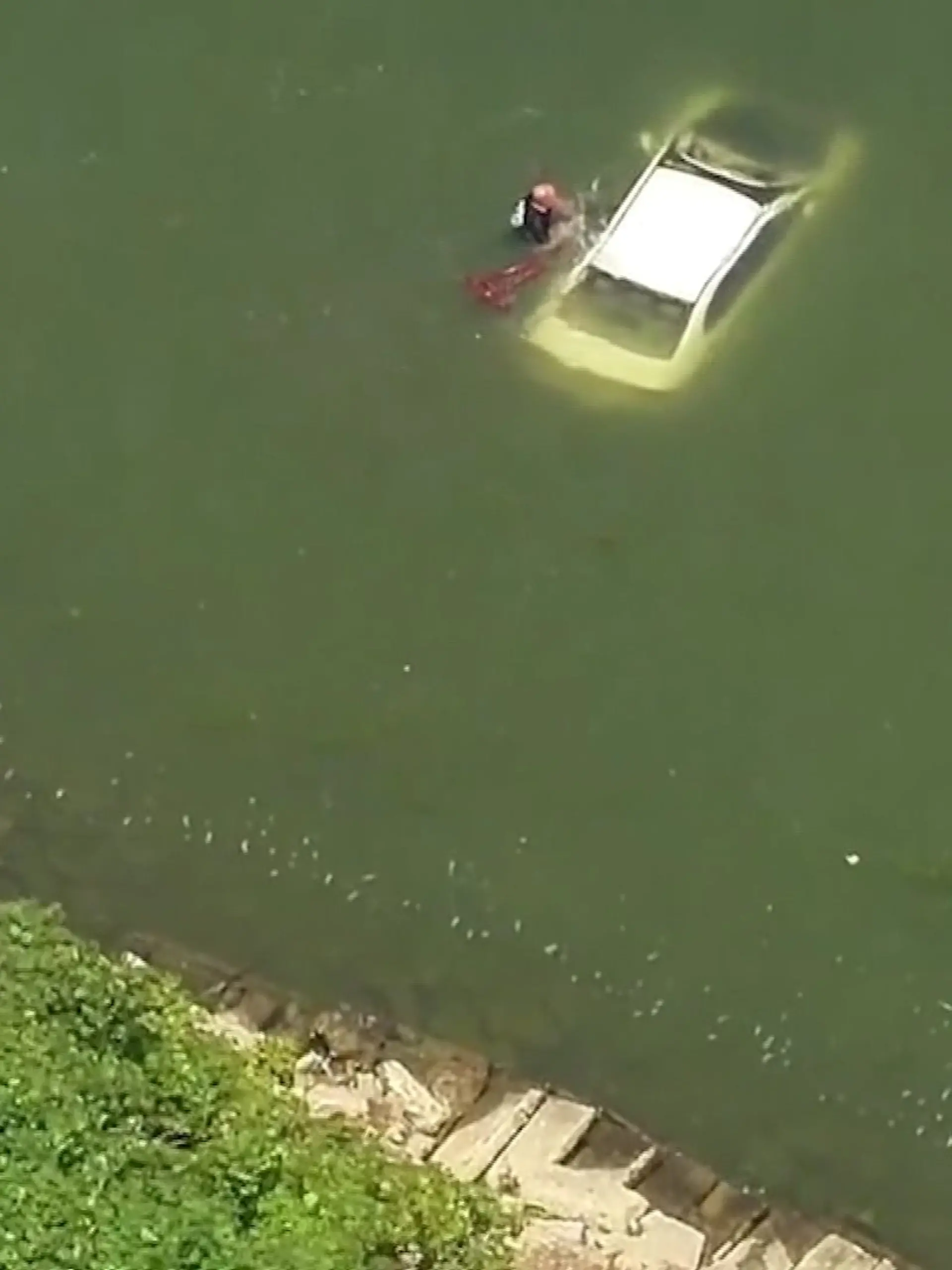 Eine Frau geriet mit ihrem Auto in den Lake St. Claire bei Detroit 