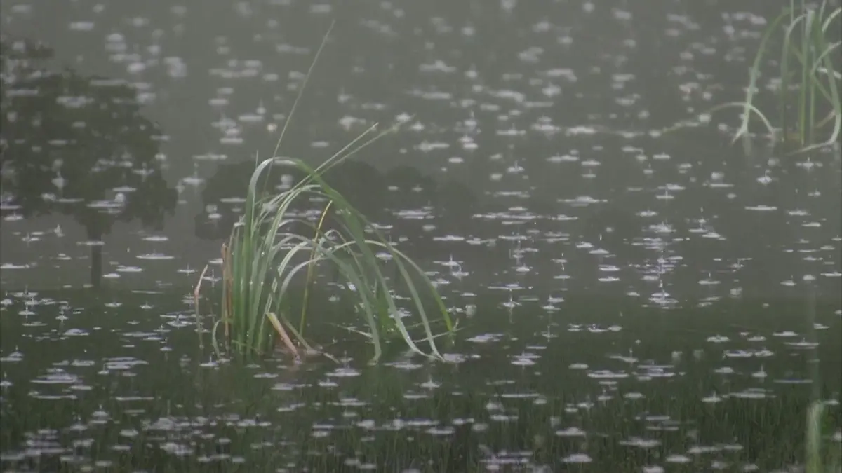Niesel Fürth: Regen-Wassermassen verschlingen Autofahrer - Rettung in letzter ...