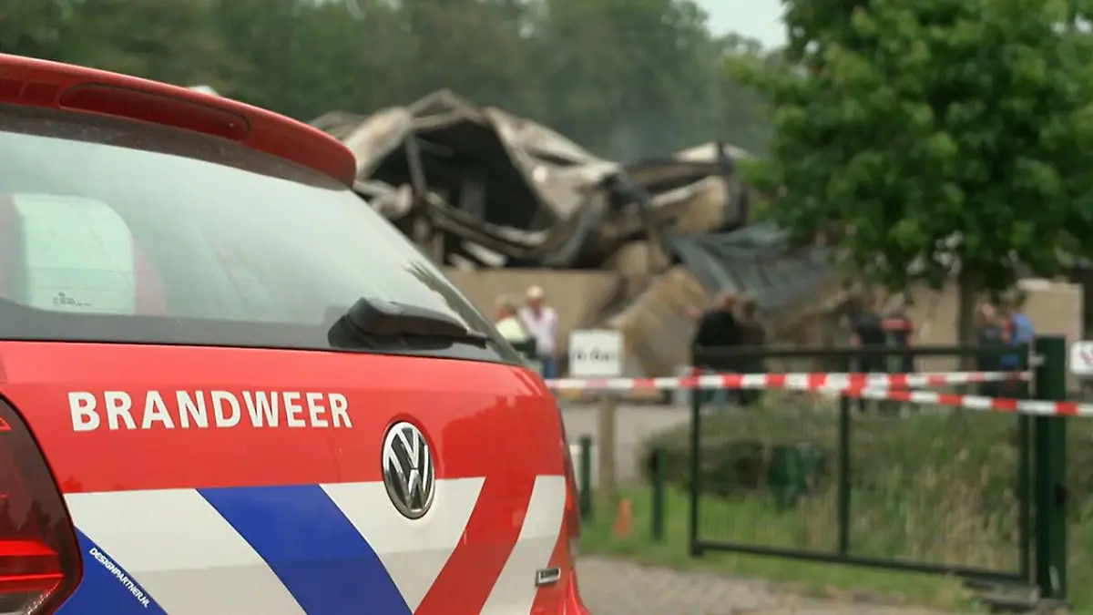 Bei einem Feuer in einer Reitschule in Zeewolde sterben 18 Pferde.