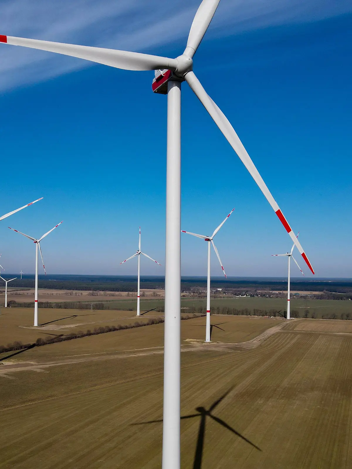 ARCHIV - 09.03.2021, Brandenburg, Albertshof: Ein Windpark in Brandenburg. (Luftaufnahme mit einer Drohne). Der Ausbau der Windkraft in Brandenburg geht weiter voran.   (zu dpa: «Brandenburg gehört zur Spitze - 21 neue Windräder») Foto: Patrick Pleul/dpa-Zentralbild/dpa +++ dpa-Bildfunk +++