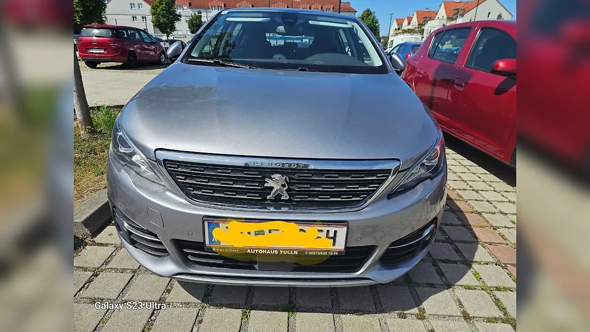 In diesem Auto war der kleine Hund eingesperrt in der Hitze.