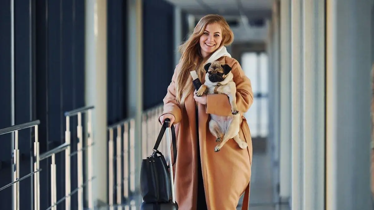 Neue Einreisebestimmungen in die USA: Kann ich meinen Hund mitnehmen?