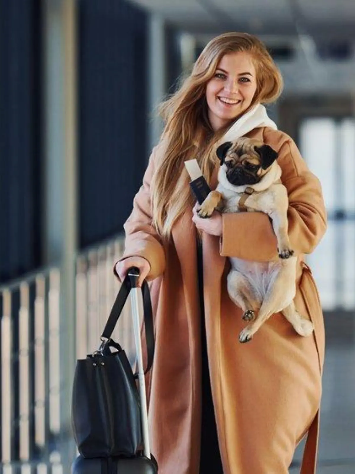 Neue Einreisebestimmungen in die USA: Kann ich meinen Hund mitnehmen?