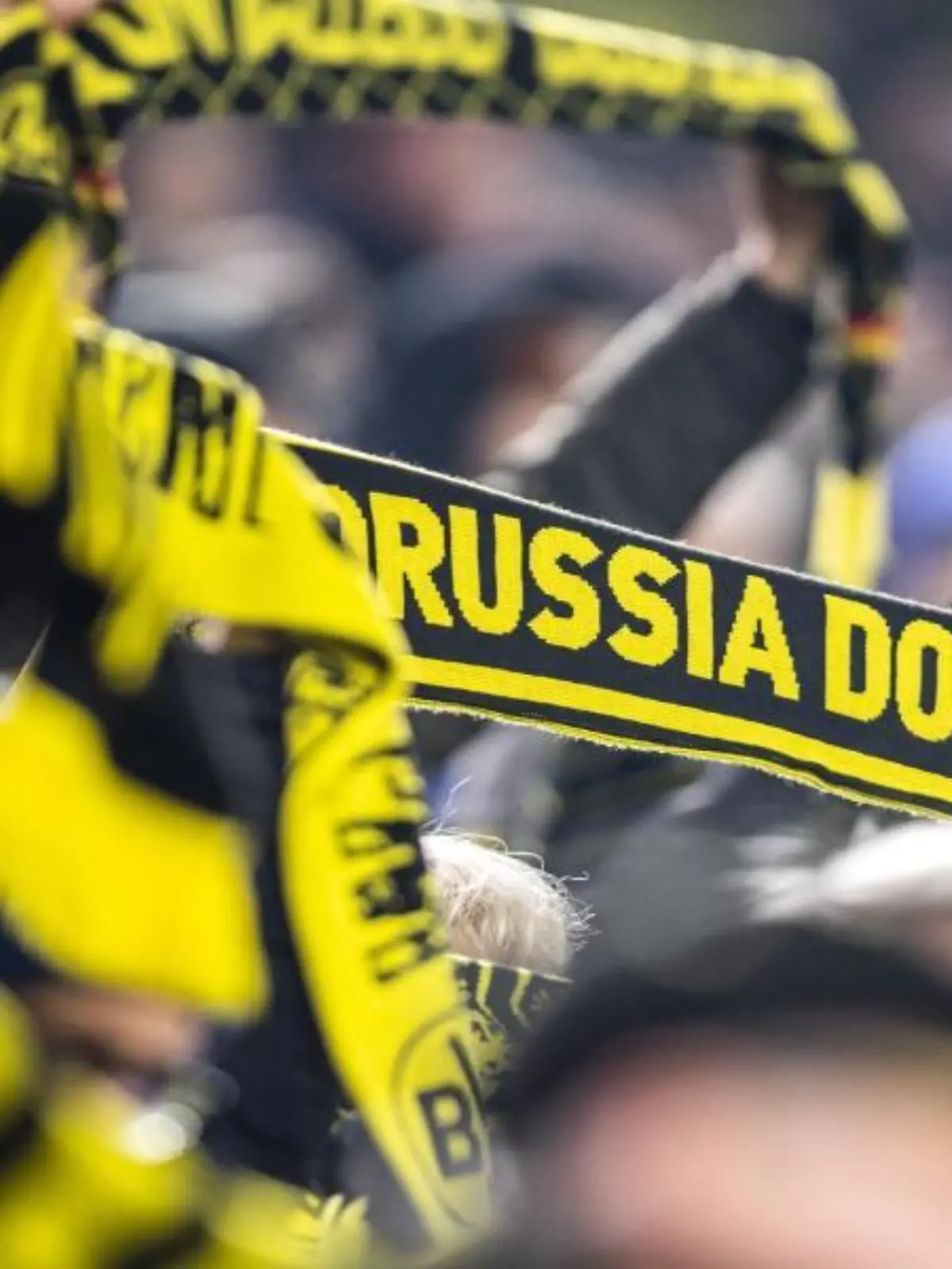 BVB