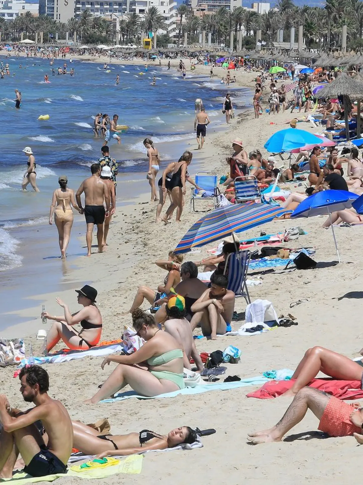 Bild zu: "Hitze fordert auf Mallorca zwei Menschenleben"