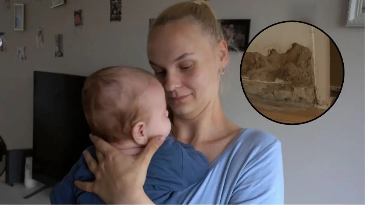 Die ganze Wohnung schimmelt und der Vermieter tut nichts