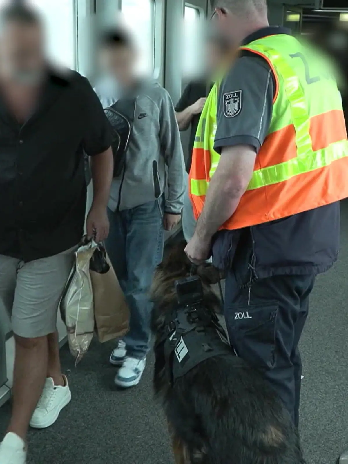 Bild zu: "Spürhunde des Zolls im Einsatz"