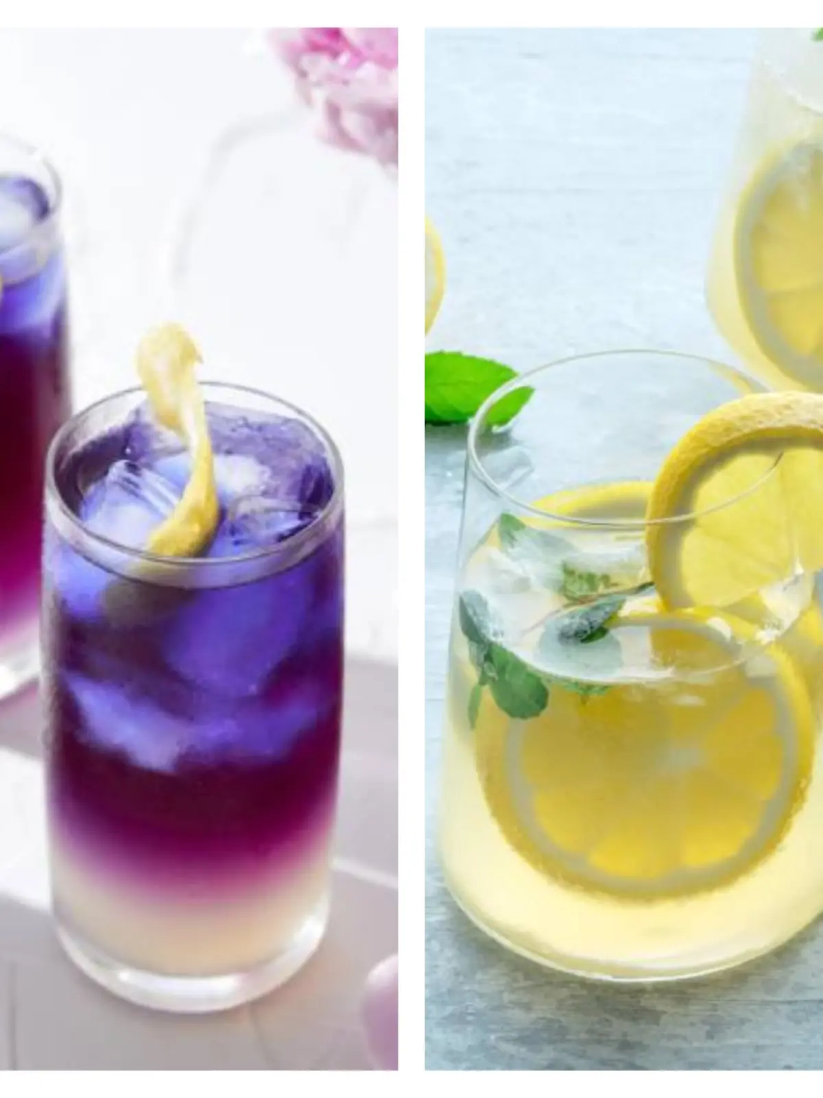 Mango-Eistee, Butterfly Pea Flower Tea, Gin Tee Cocktail oder Cool Paradise 