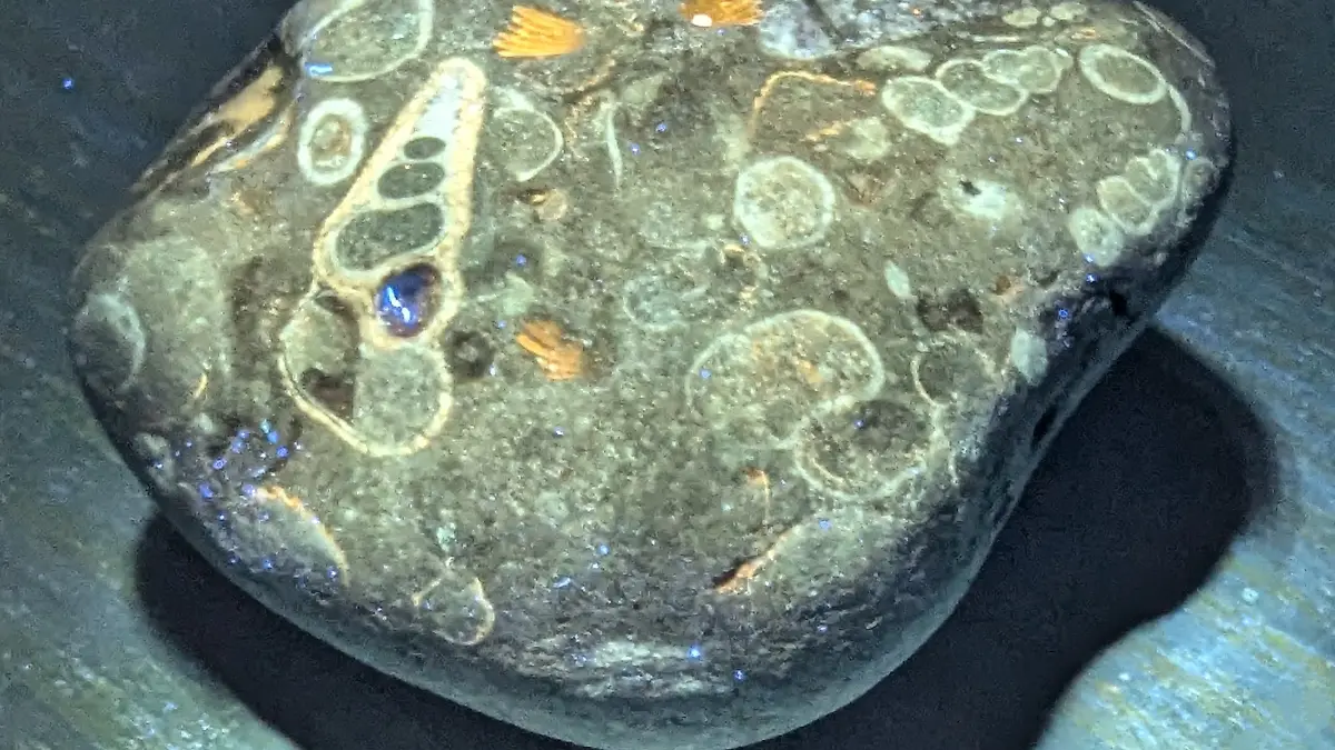 PXL_20240714_183306966~2.jpg