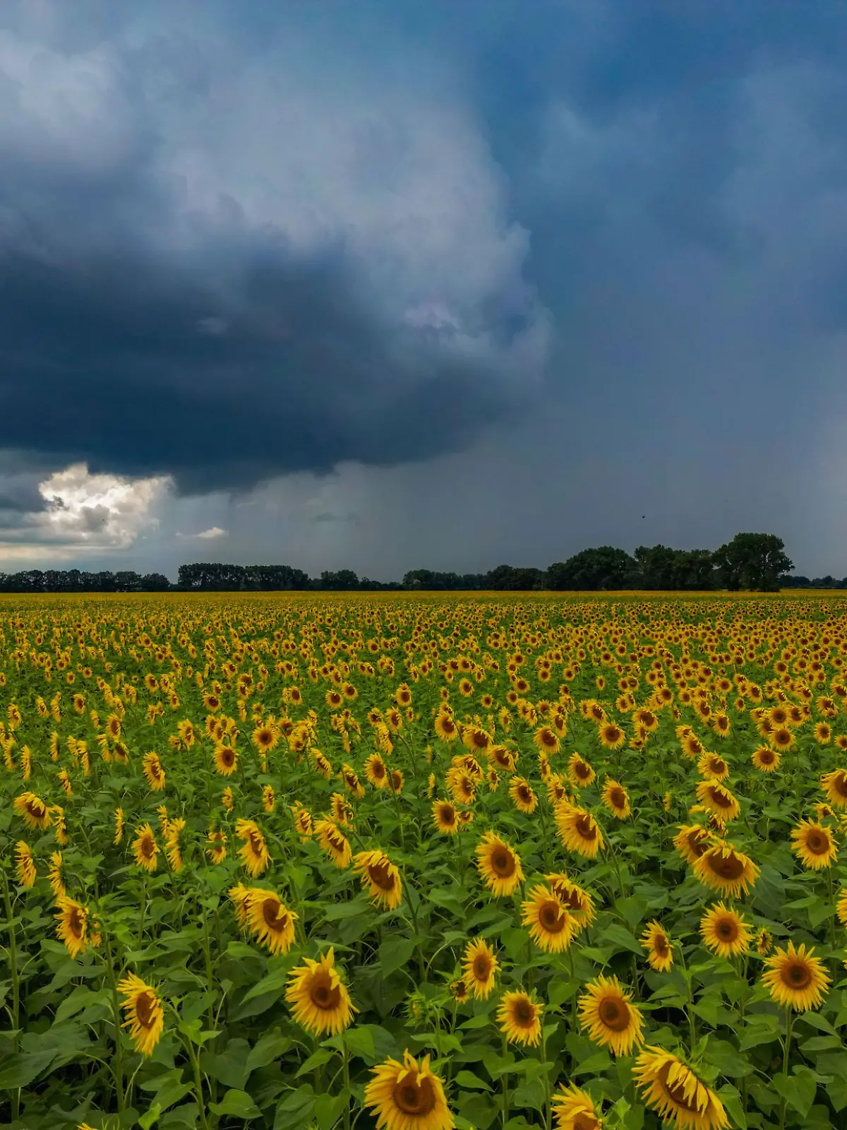 Wetter-Bilanz: Der Monat Juli war im gesamten Norden kühl und regenreich. (Symbolbild)