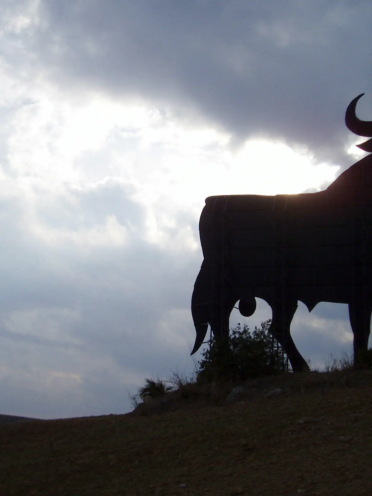 ARCHIV - Ein Osborne-Stier, das Markenzeichen von Andalusien und ganz Spanien, steht auf einem Hügel bei Jerez de la Frontera (Archivfoto vom 20.10.2005). Er dürfte der berühmteste Stier der Welt sein. Dabei ist der Osborne-Stier in Wirklichkeit gar kein Tier aus Fleisch und Blut, sondern nur eine Silhouette. Diese war geschaffen worden, um für den spanischen Brandy-, Sherry- und Weinhersteller Osborne Reklame zu machen. Der mächtige schwarze Stier, der kürzlich 50 Jahre alt wurde, ist aber längst mehr als eine Werbefigur oder ein Markenzeichen. "El toro de Osborne" wurde zu einem Wahrzeichen und nationalen Symbol Spaniens. Foto: Patrick Lux (zu dpa-Korr. "Vom Werbe-Logo zum Nationalsymbol - Osborne-Stier wird 50 Jahre alt" vom 15.08.2007) +++(c) dpa - Bildfunk+++