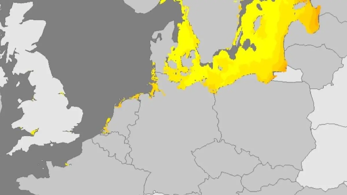 An Nord- und Ostsee ist das Vibrionen-Risiko gering bis mittel, wie die interaktive Karte des ESDC zeigt. (Stand: 31.7.2024)