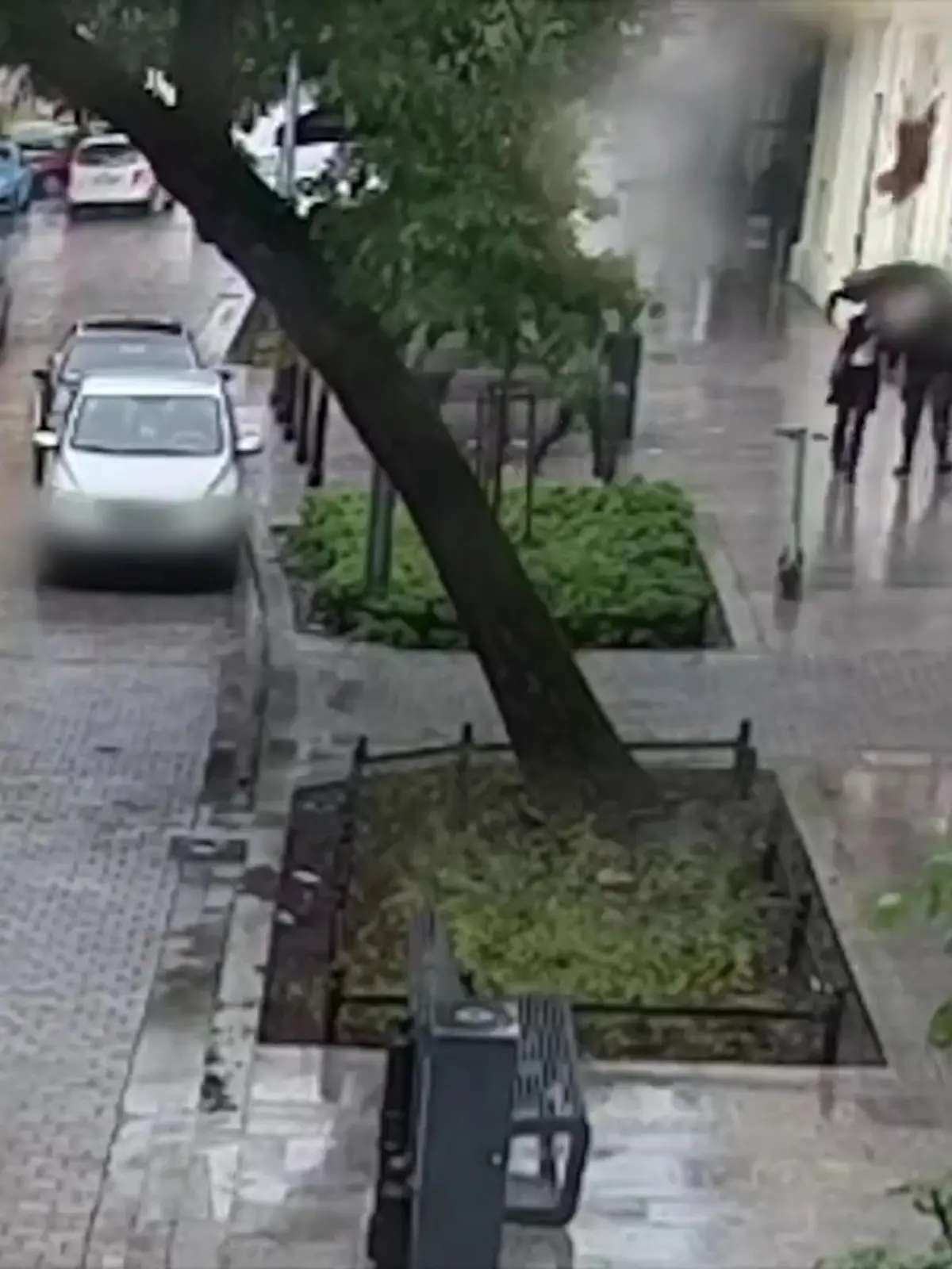 Bild zu: "Hund springt aus Fenster und landet auf Passantin"