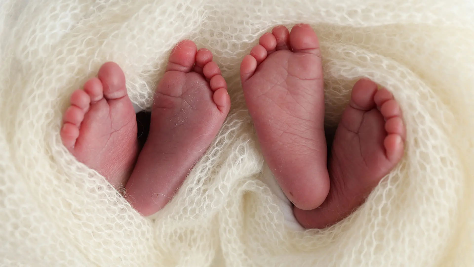 Legs, toes, feet and heels of newborn twins. Wrapped in a knitted white blanket. Studio macro photography of the legs of newborn twins, close-up. Two newborns.