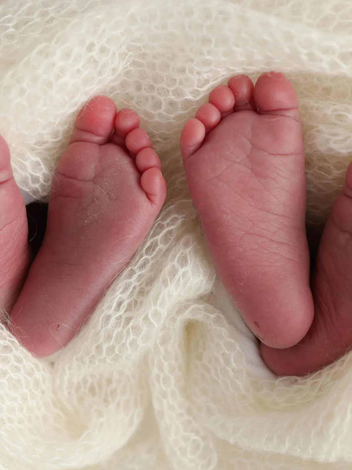 Legs, toes, feet and heels of newborn twins. Wrapped in a knitted white blanket. Studio macro photography of the legs of newborn twins, close-up. Two newborns.