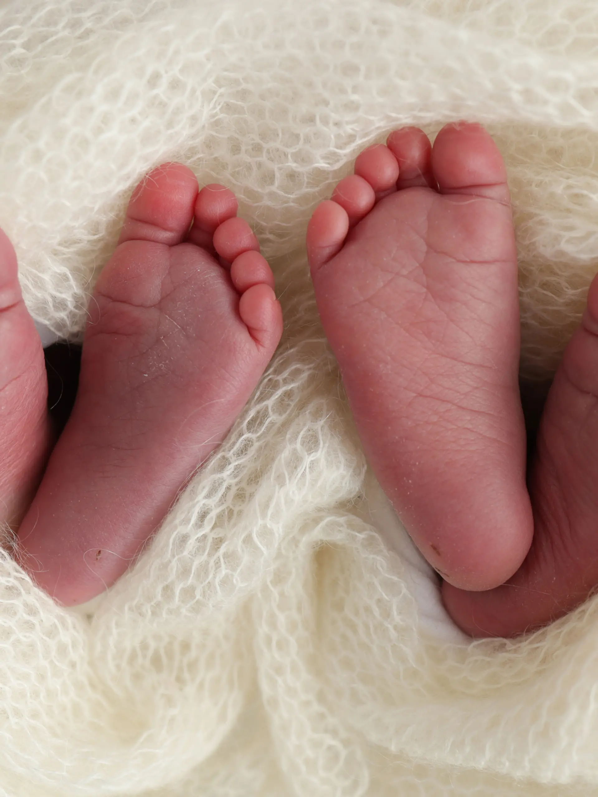 Legs, toes, feet and heels of newborn twins. Wrapped in a knitted white blanket. Studio macro photography of the legs of newborn twins, close-up. Two newborns.
