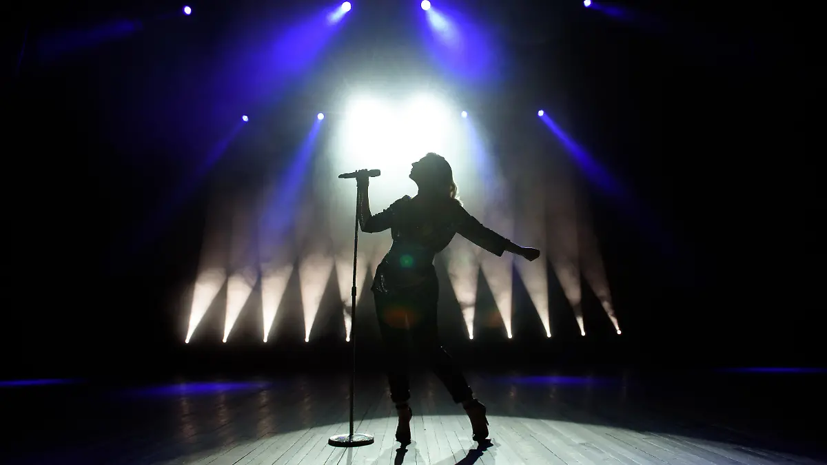 Silhouette of singer on stage. Dark background, smoke, spotlights
