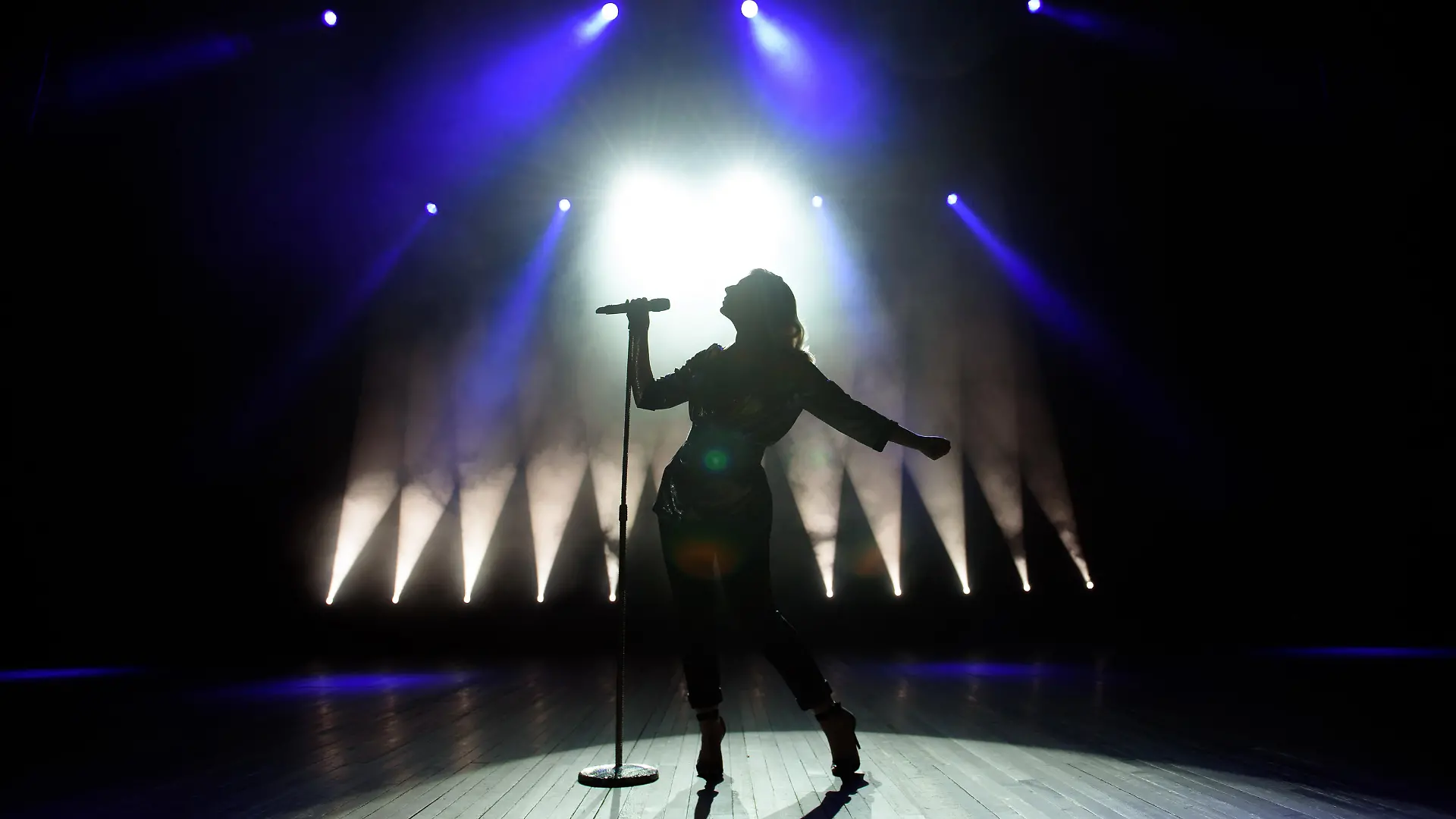 Silhouette of singer on stage. Dark background, smoke, spotlights