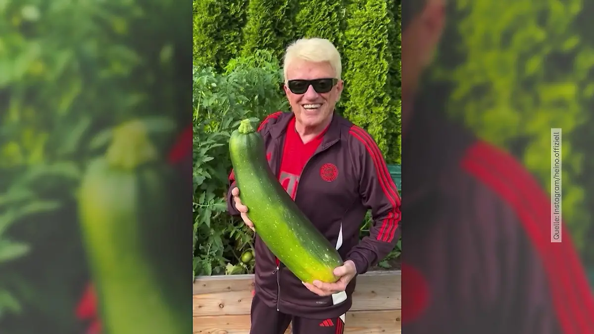 Heino hat die Größte! Schlagerstar ist jetzt Hobbygärtner