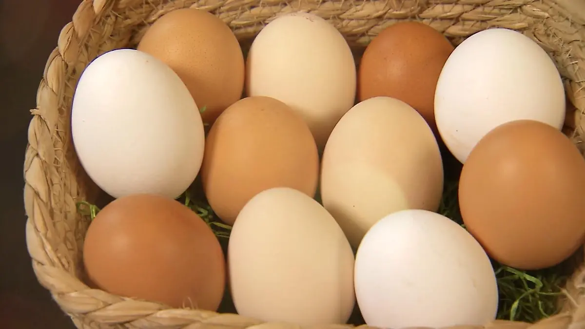 So viele Eier dürft ihr essen, bevor es kritisch wird Mythos hoher Cholesterinspiegel!