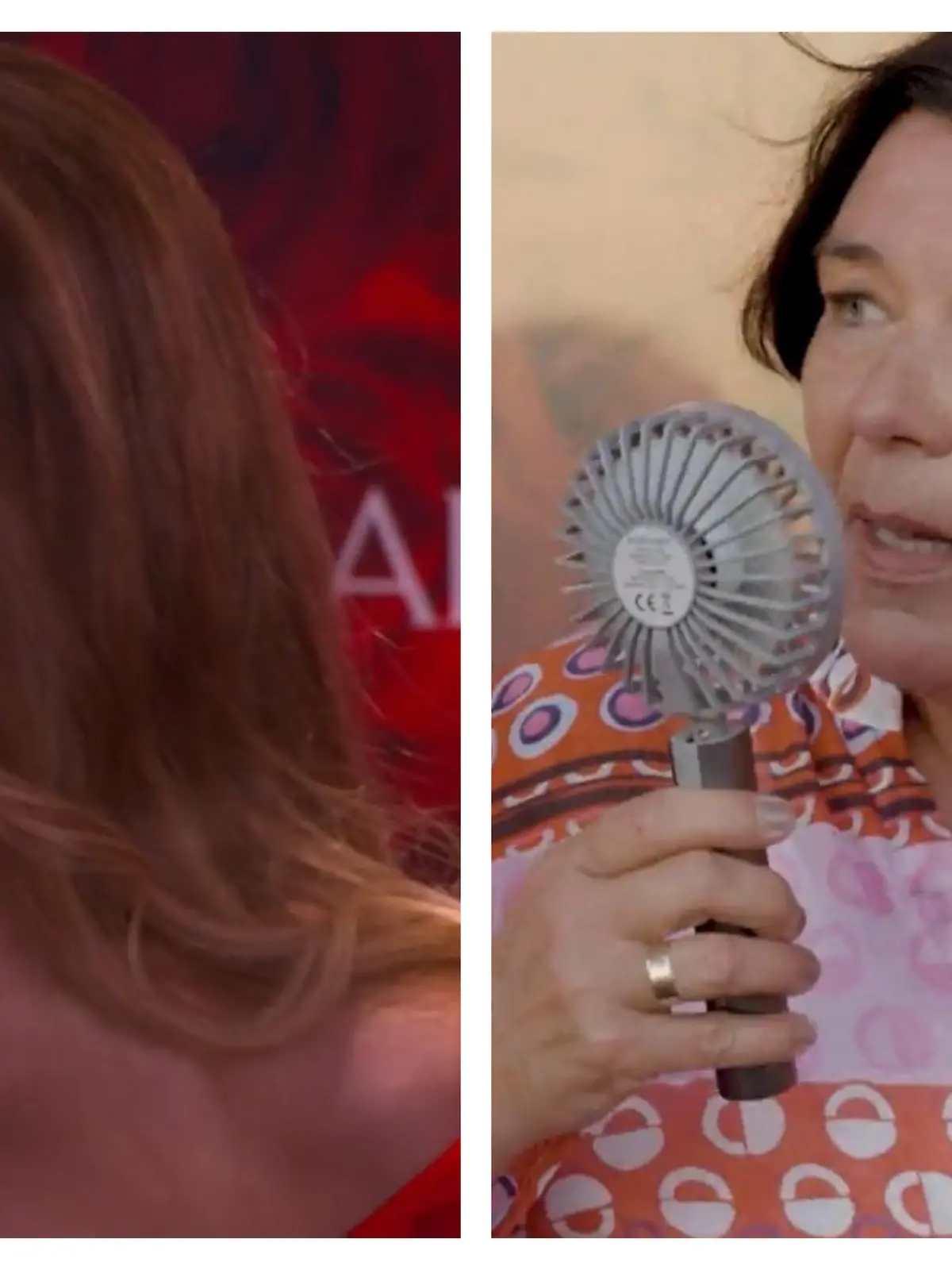 Collage von La Toya Jackson und Vera Int-Veen