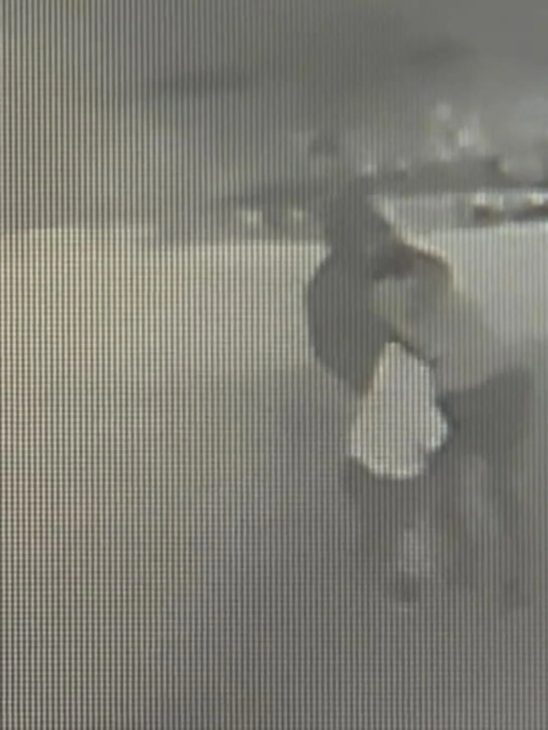 Tyler H. versuchte offenbar, eine Frau zu entführen und sie zu vergewaltigen. Doch: Die 37-Jährige wehrt sich und entkommt. Zwei Tage später wird der Tatverdächtige festgenommen.