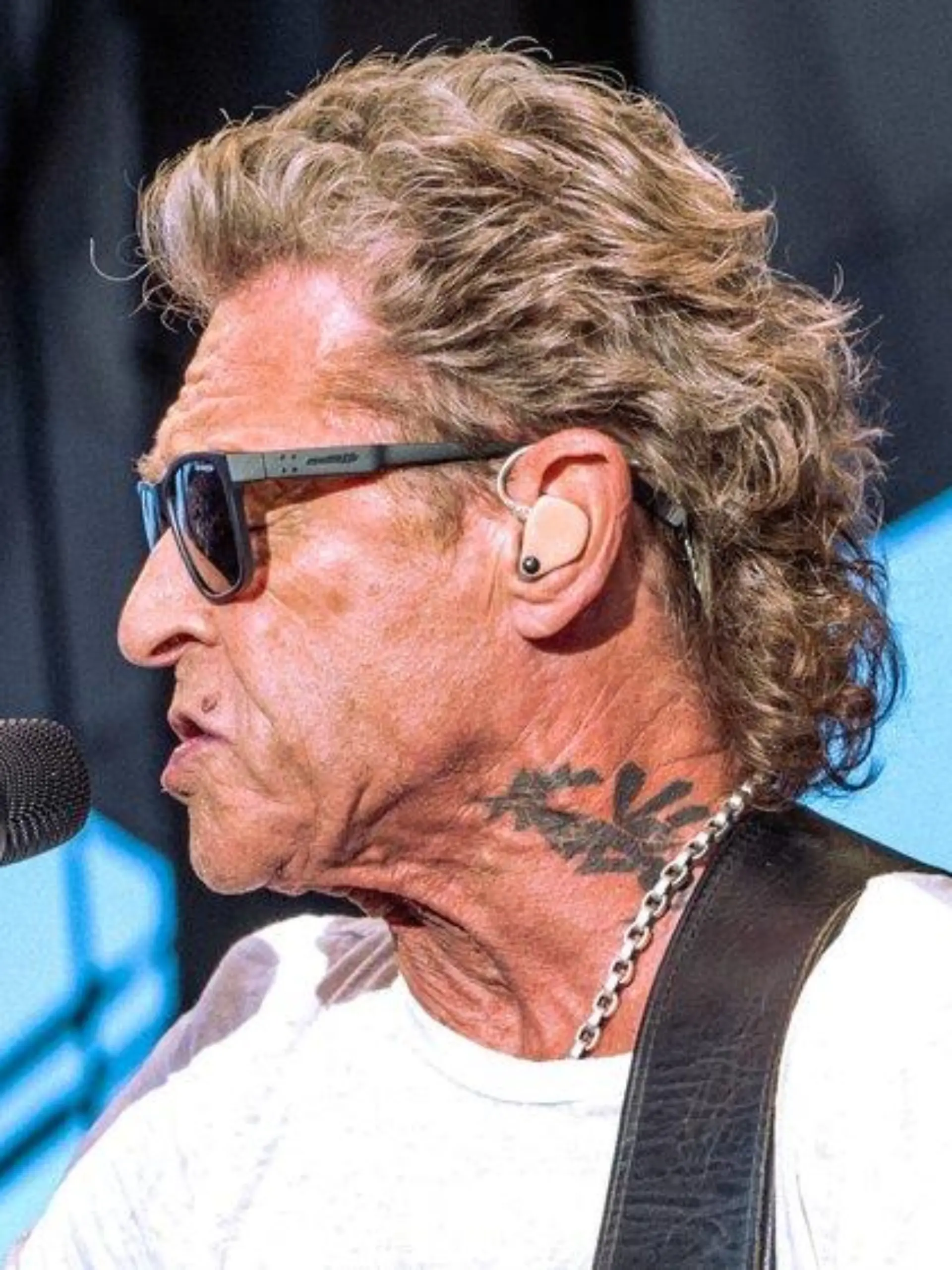 Peter Maffay: Ehrenstern für Engagement in Rumänien