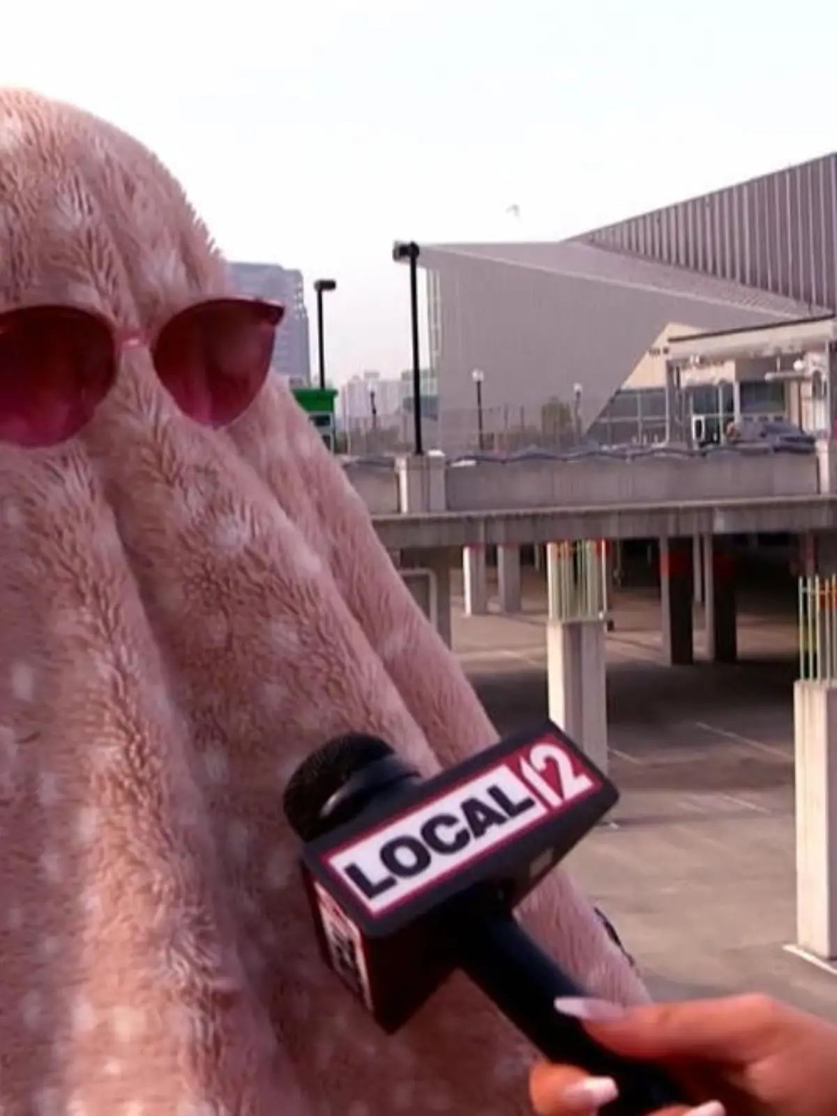 Dieses Konzertoutfit ist definitiv speziell! Mit Decke und Sonnenbrille vermummt wird dieser Fan kurz vor einem Taylor-Swift-Konzert interviewt. Die Maskerade hat aber einen bestimmten Zweck: Der Fan hat sich nämlich extra für das Konzert auf der Arbeit krankgemeldet - und das soll der Chef mal lieber nicht mitbekommen. Das kurioseste Interview des Jahres zeigen wir im Video!