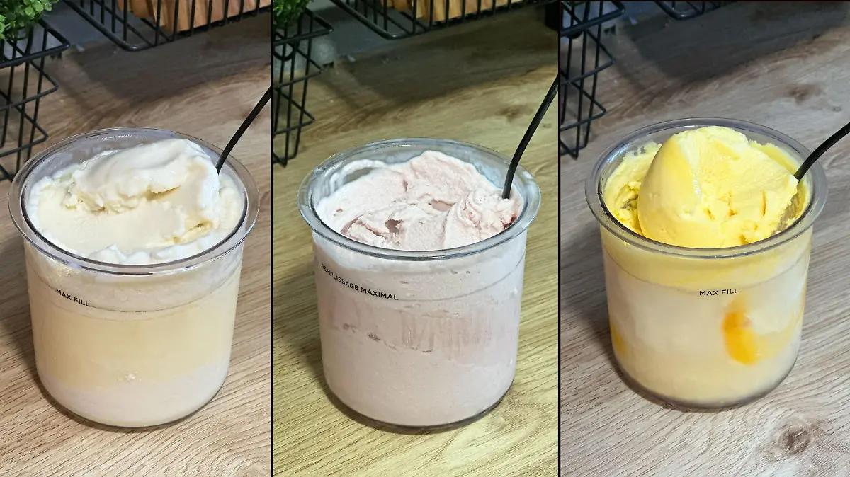 Ninja Creami Eissorten im Test.