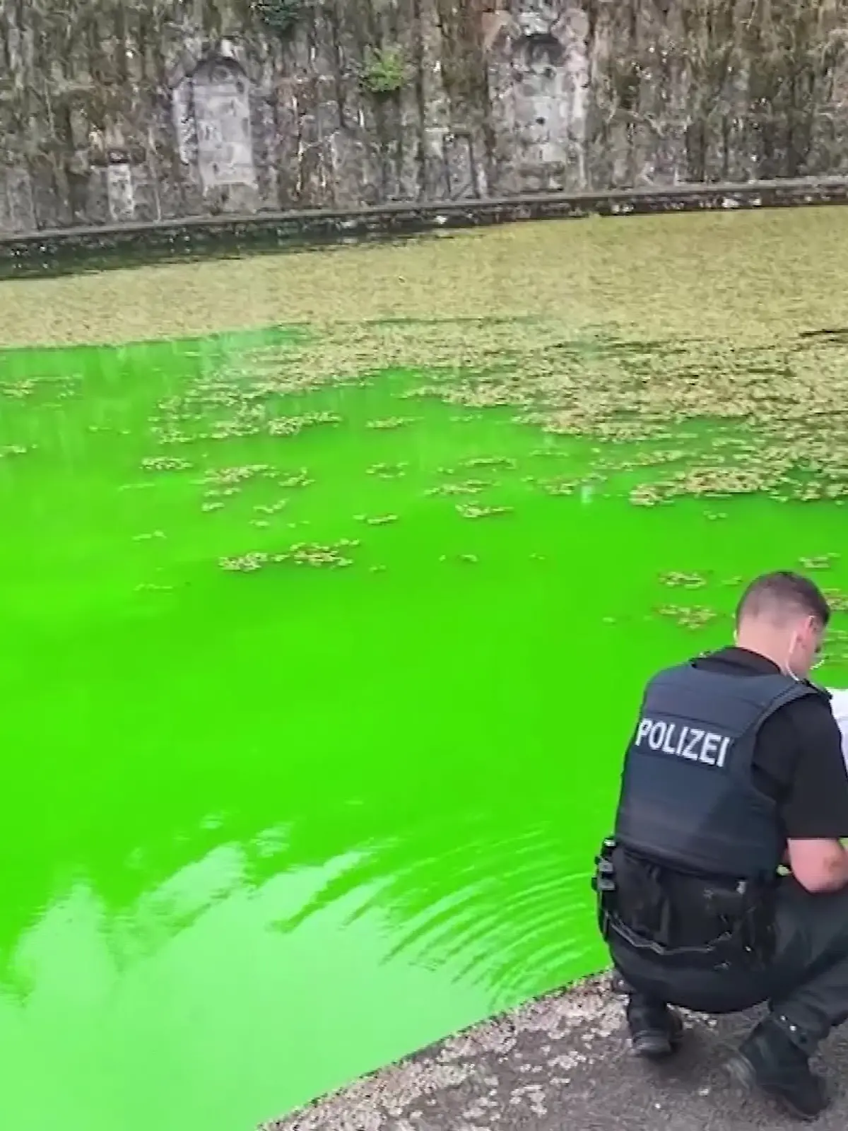 Bild zu: "Klimaaktivisten färben Wasserspiele in Kassel grün"