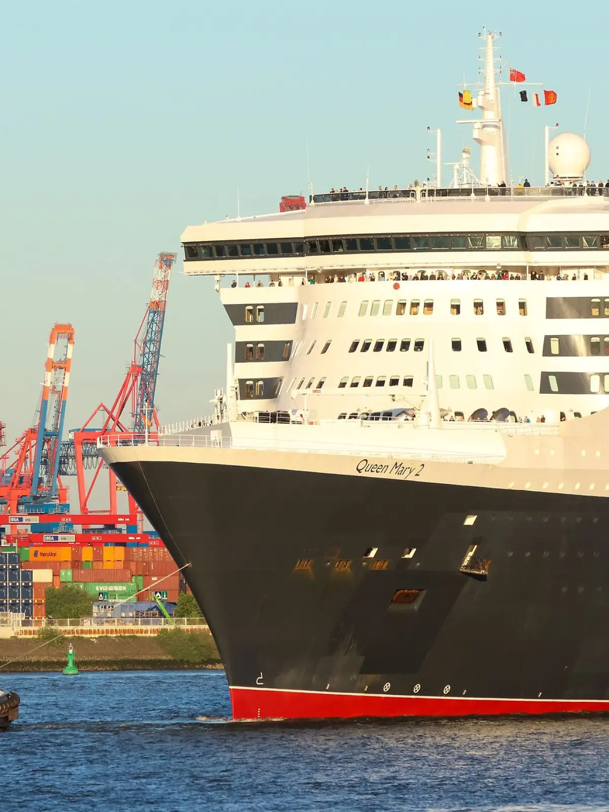 Bild zu: "Norovirus auf der Queen Mary 2: Gut 200 Passagiere krank"