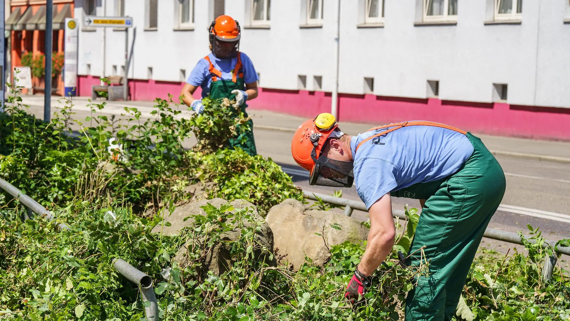 11.05.2022, Hessen, Hanau: Mitarbeiter der Spurensicherung der Polizei schneiden zwecks besserer Spurensuche die Blumen und Sträucher vor einem Hochhaus in der Innenstadt ab. In dem Gebäude war am Morgen ein totes Mädchen gefunden worden. Vor dem Haus lag auf der Straße ein schwer verletzter Junge, der später verstarb. Foto: Frank Rumpenhorst/dpa +++ dpa-Bildfunk +++