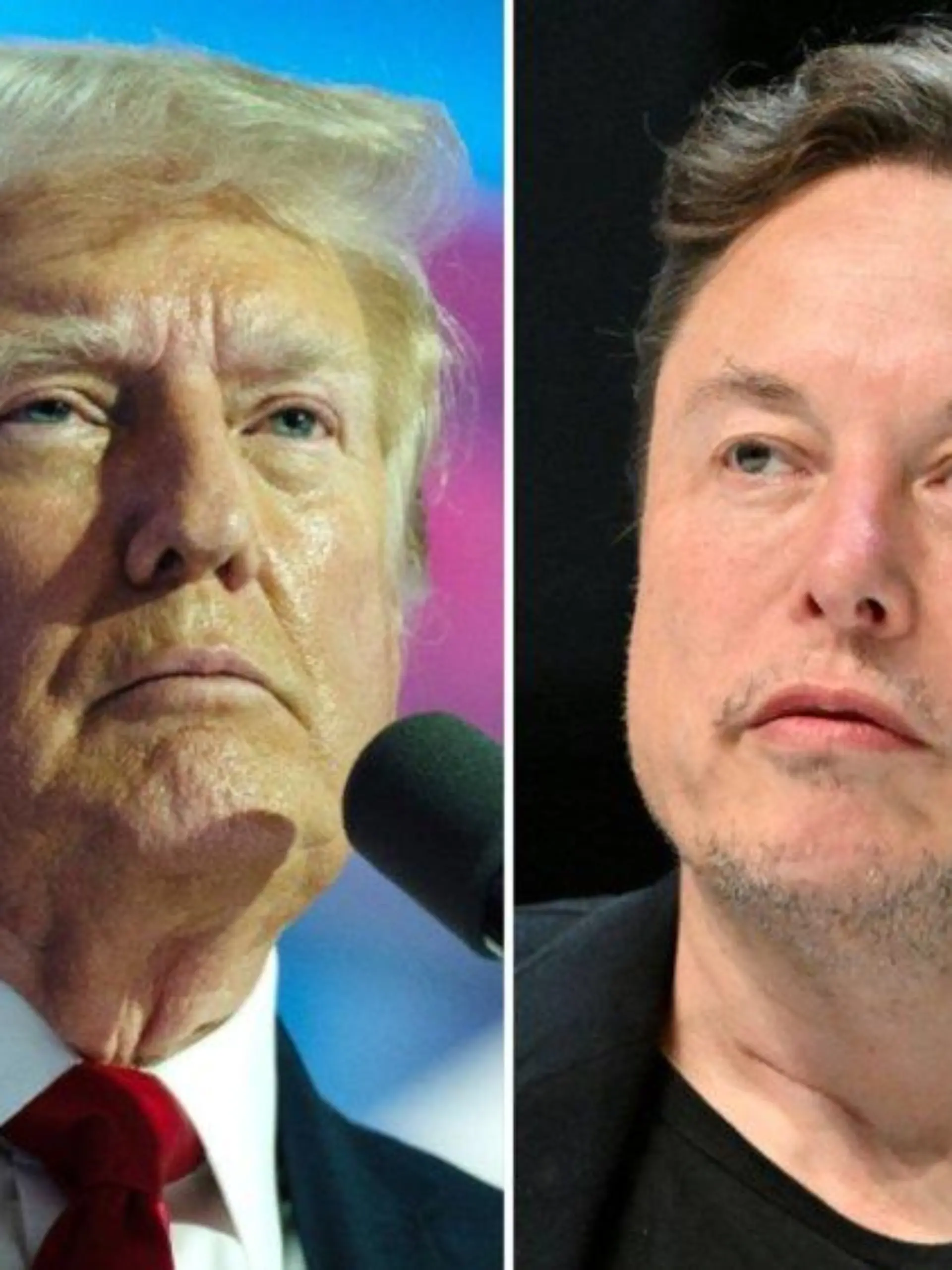 Donald Trump: Ex-Präsident kündigt Interview mit Elon Musk an