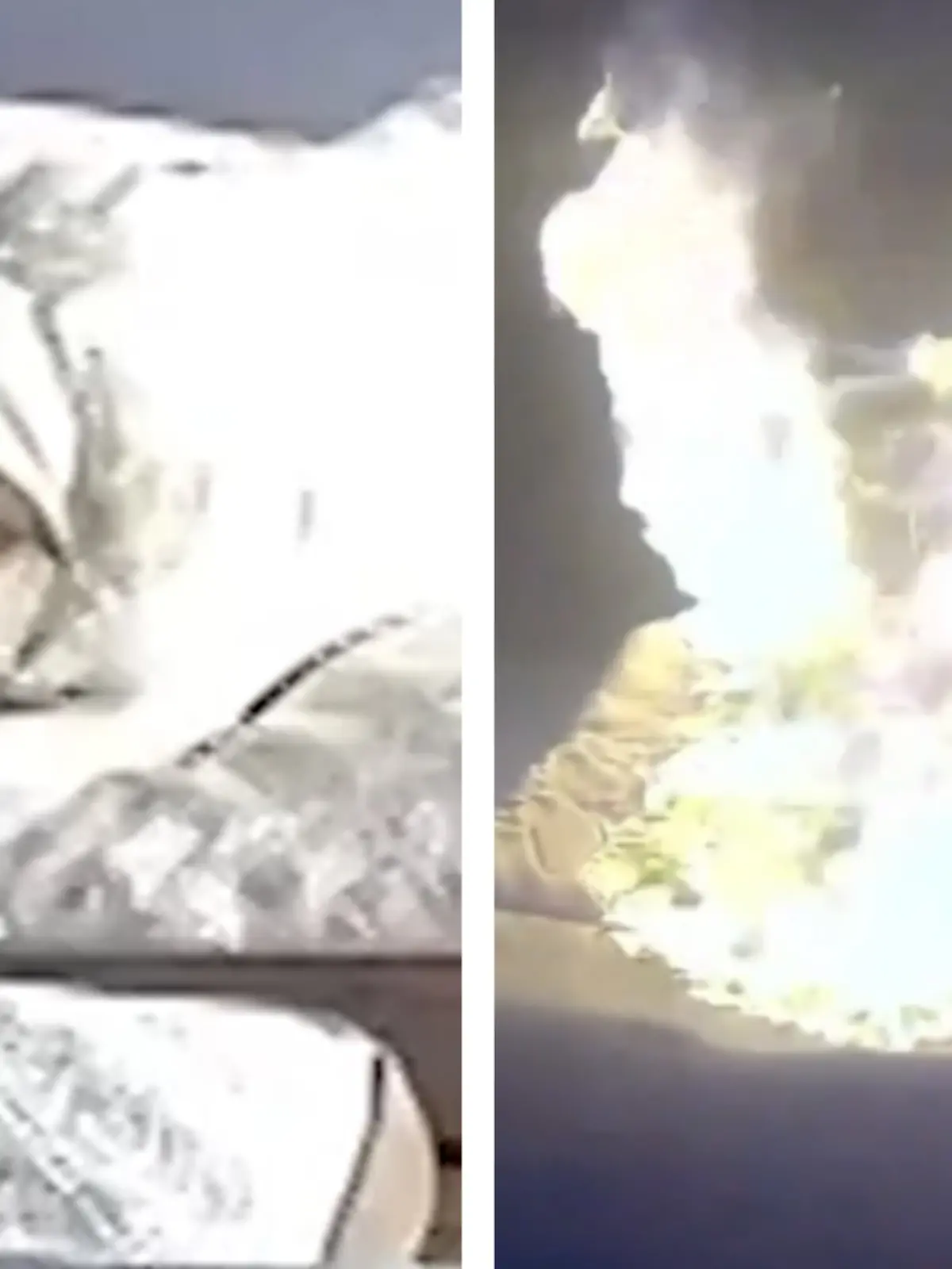 Bild zu: "Hund kaut auf Powerbank - plötzlich steht Haus in Flammen"