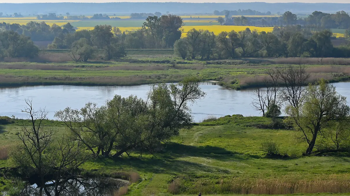 09.05.2022, Brandenburg, Lebus: Blick am frühen Morgen über die Landschaft am deutsch-polnischen Grenzfluss Oder. Foto: Patrick Pleul/dpa +++ dpa-Bildfunk +++