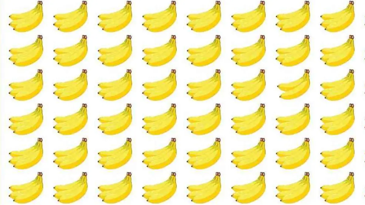 Suchbild Bananen